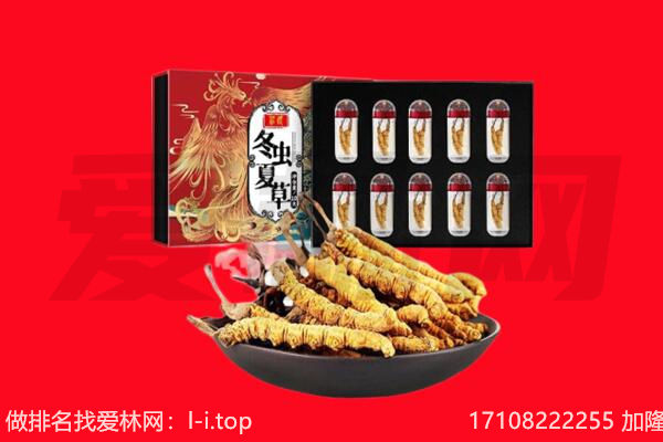 同德冬虫夏草回收